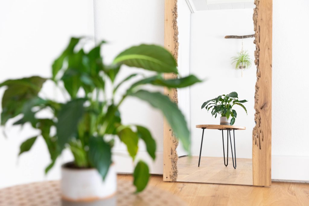 Studio valerie moulin photo 3 - Valérie Moulin